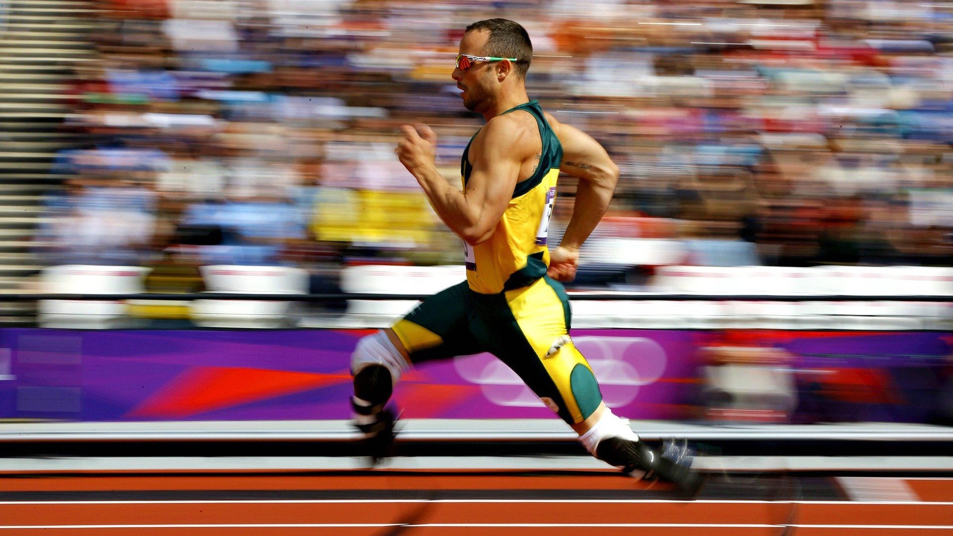 体育场馆绿色建设推进，体育场馆绿色建设推进方案